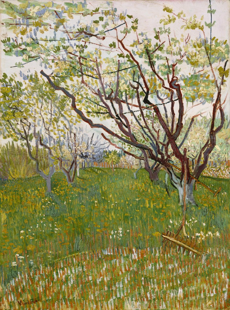 The Flowering Orchard by Vincent van Gogh