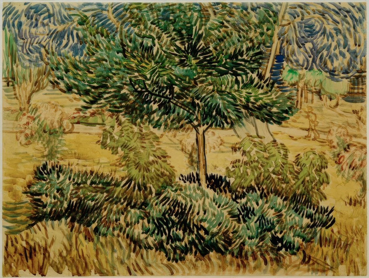 Tree and Shrubs in the Garden of the Sanatorium by Vincent van Gogh