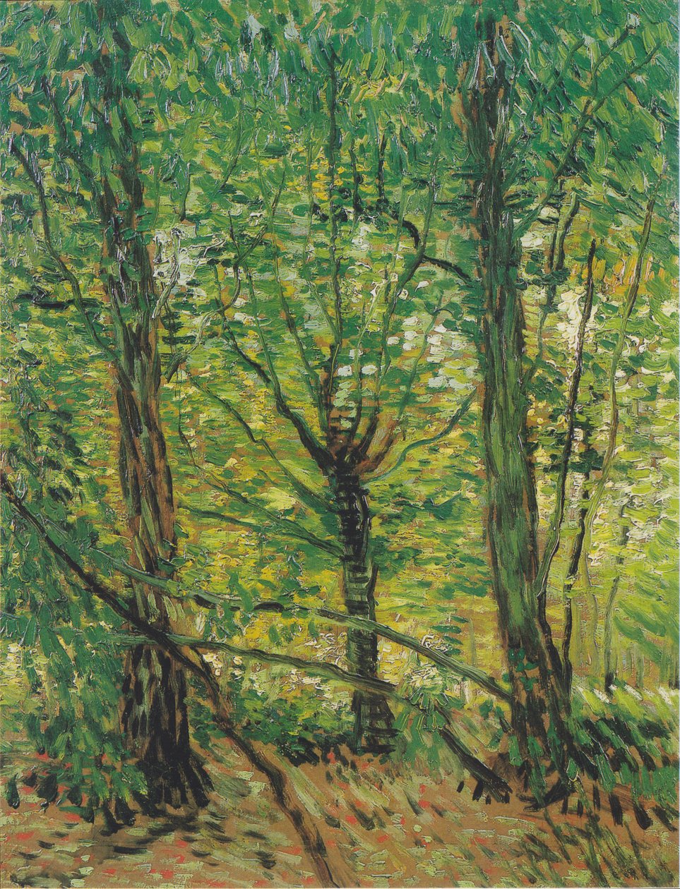 Trees and Undergrowth by Vincent van Gogh