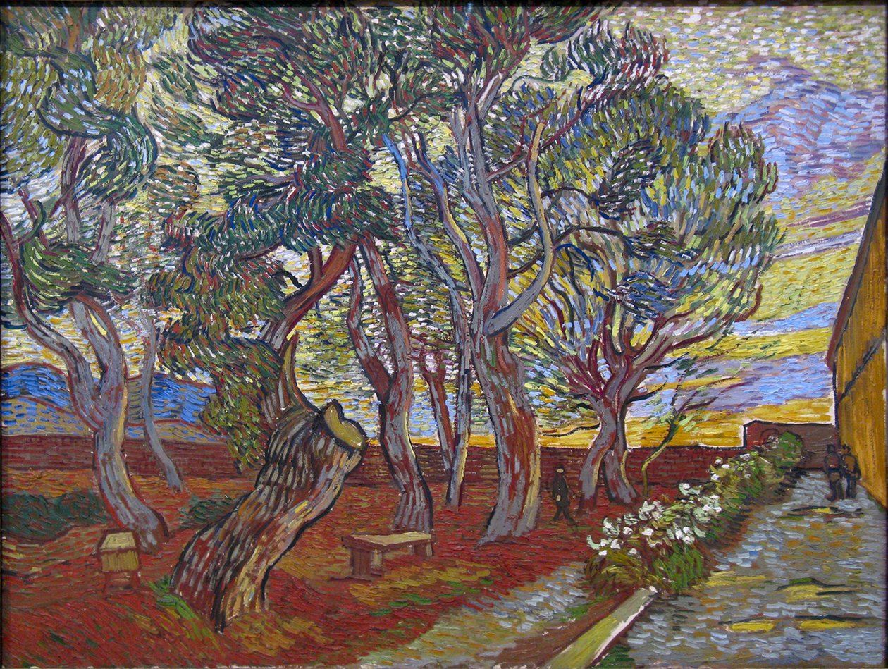 The Garden of the Saint Paul Asylum by Vincent van Gogh