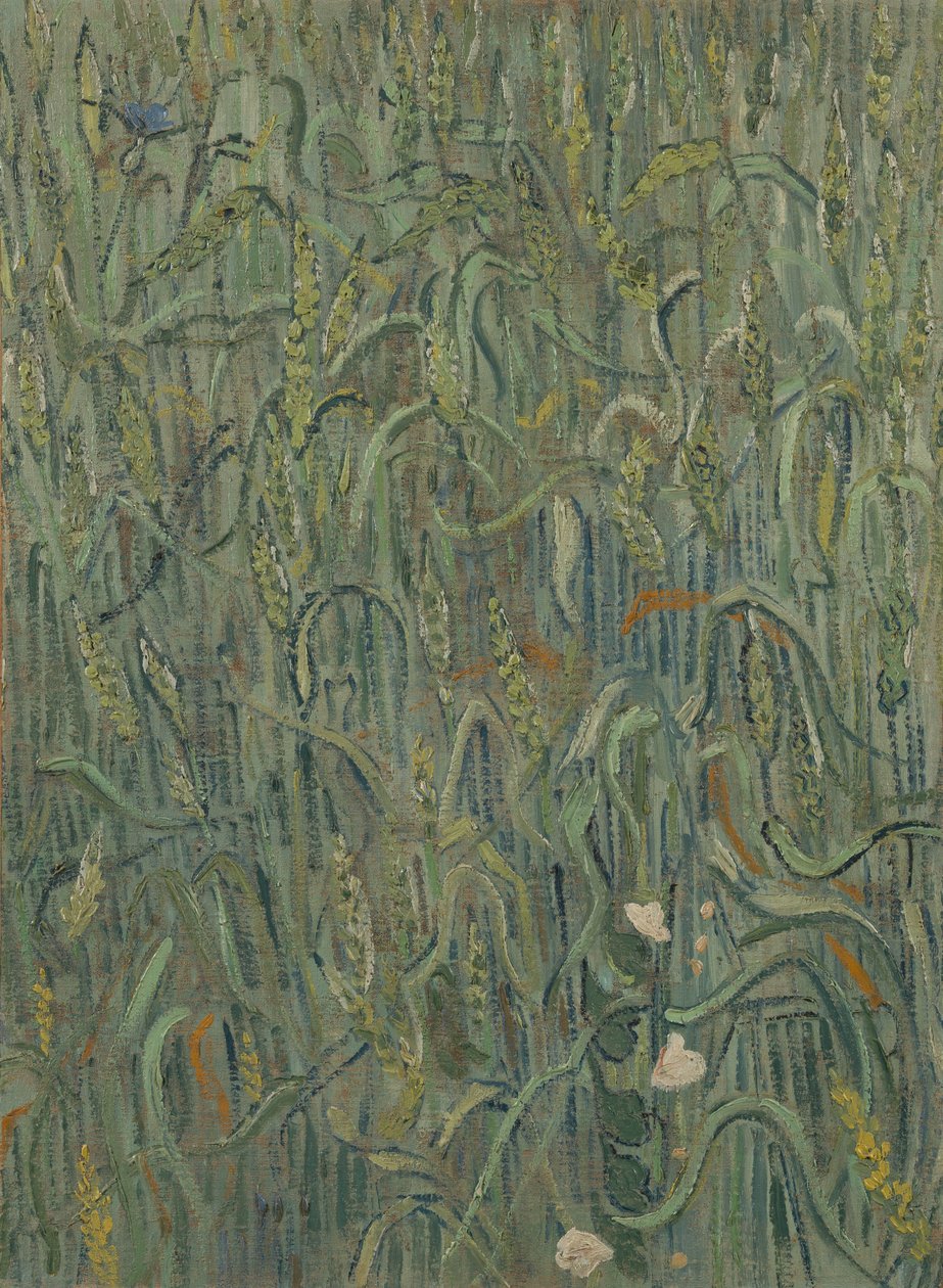 Ears of Wheat by Vincent van Gogh