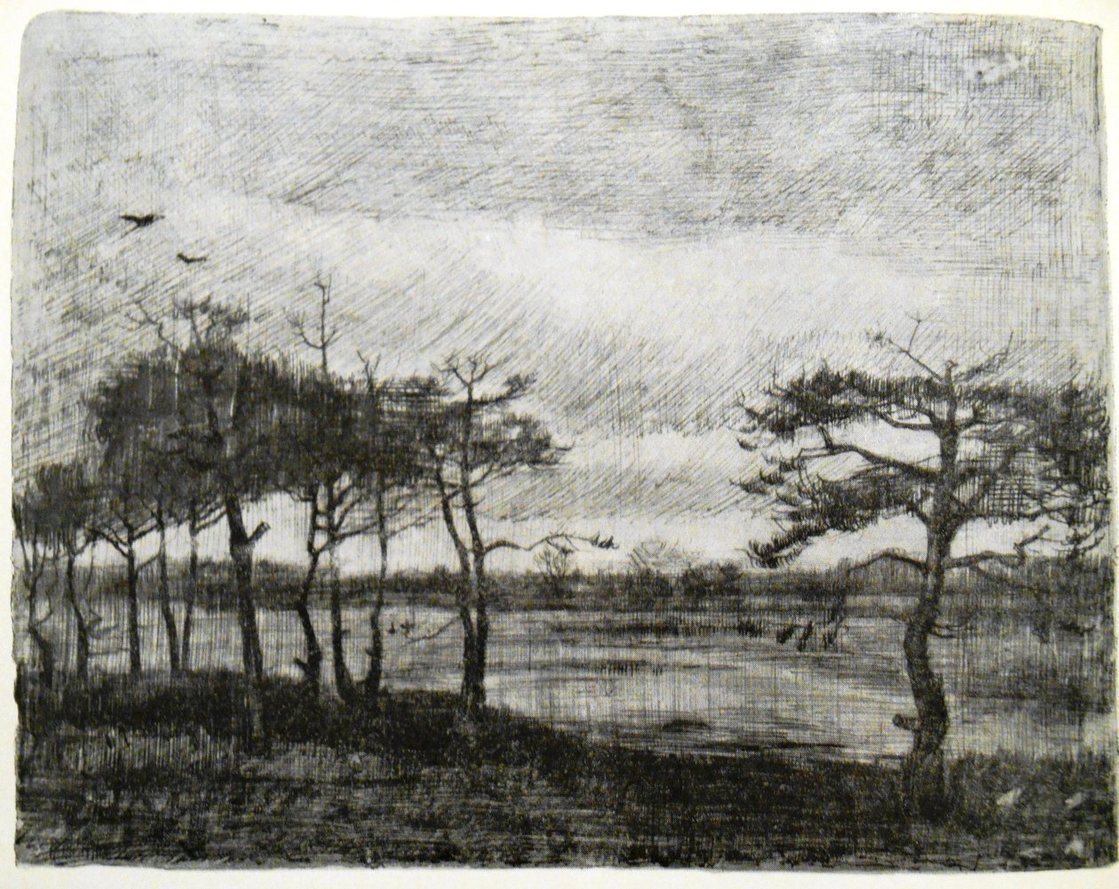 Firs by a Swamp by Vincent van Gogh
