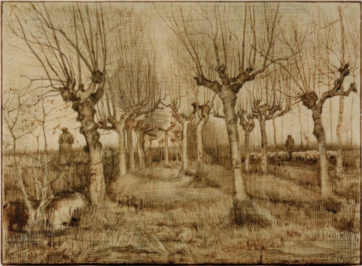 Pollard Willows by Vincent van Gogh