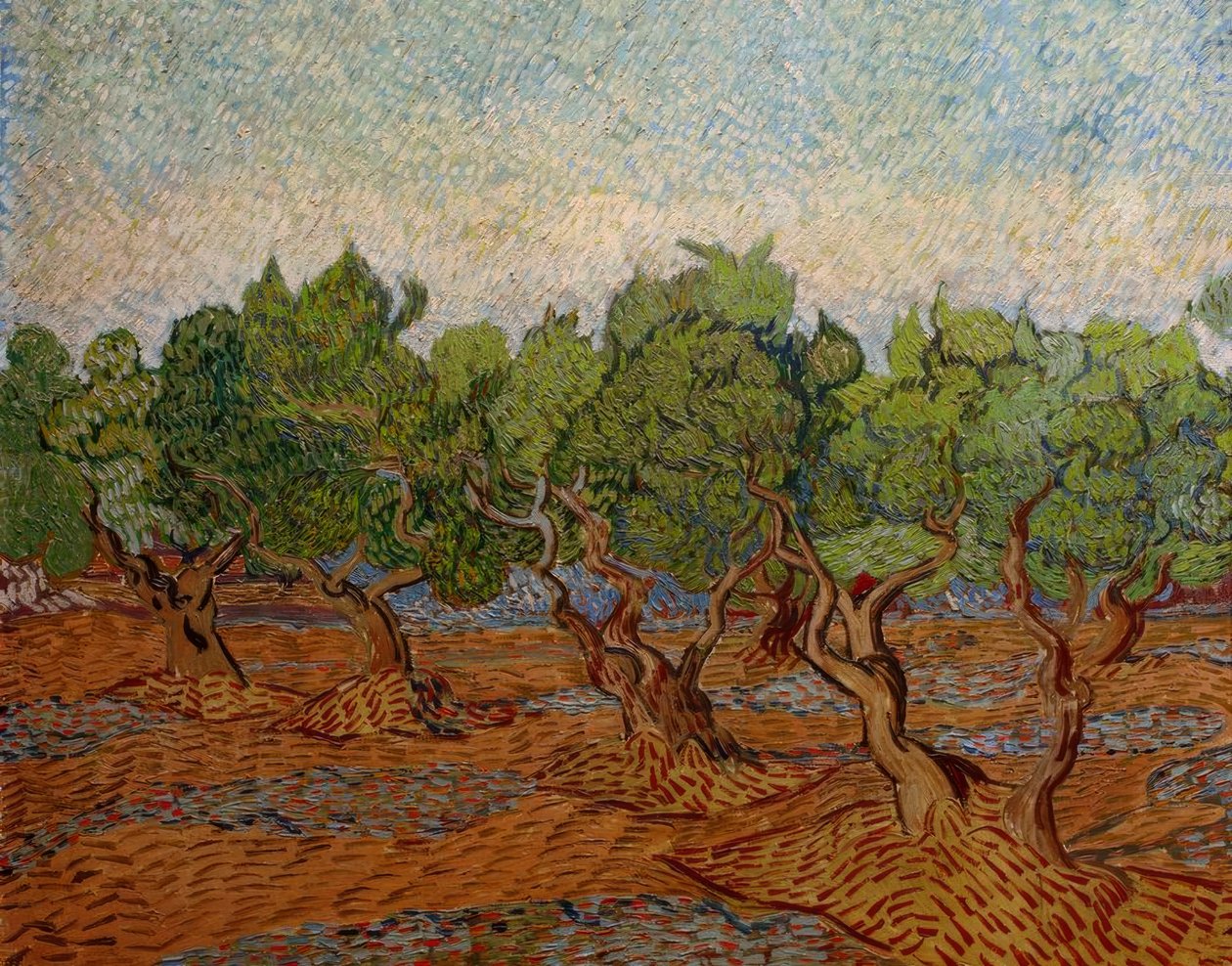 Olive Grove by Vincent van Gogh