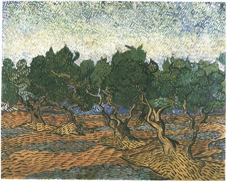 Olive Grove by Vincent van Gogh