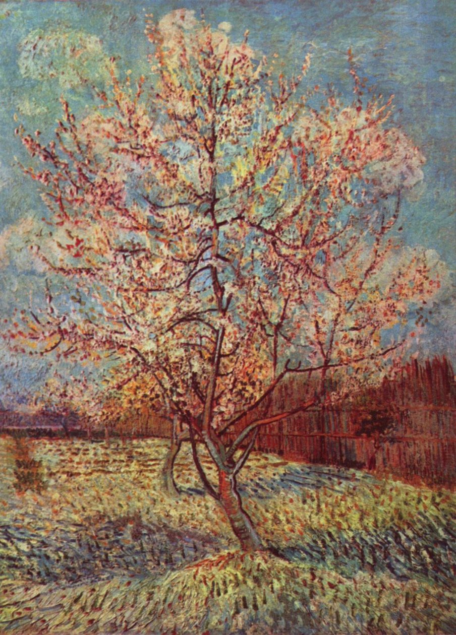 Peach Tree in Blossom by Vincent van Gogh