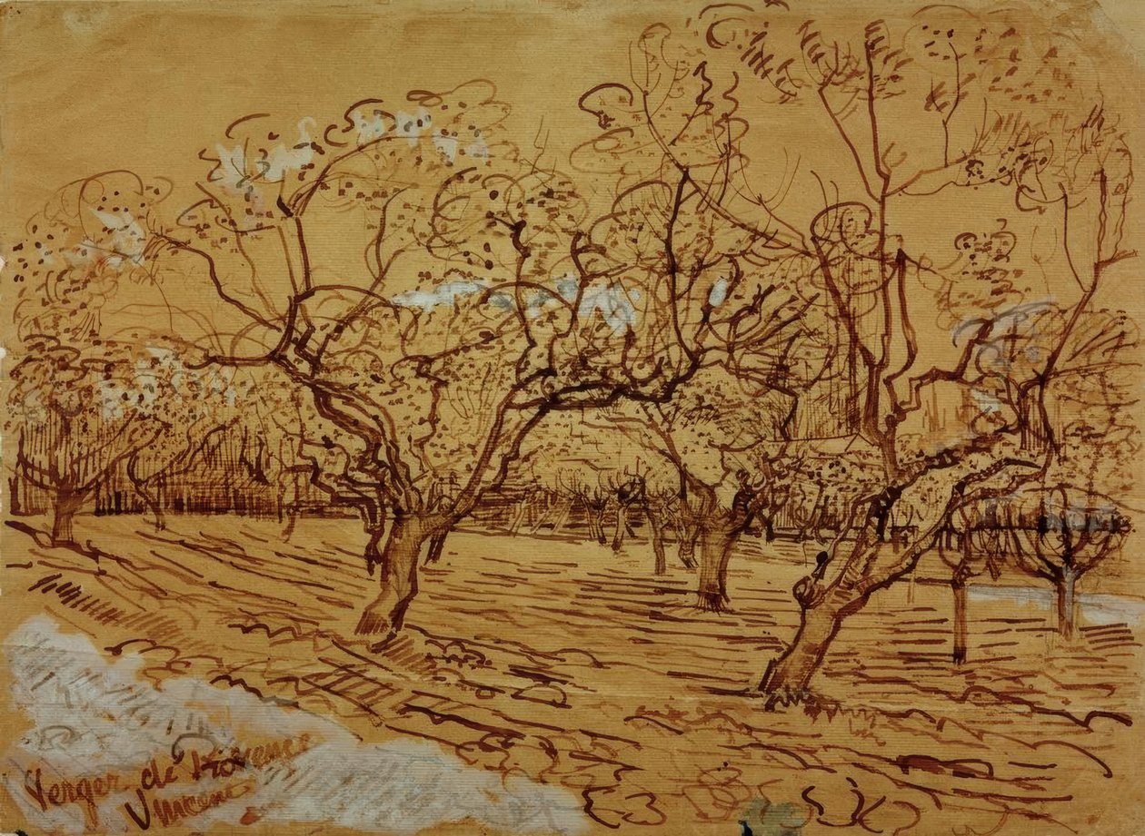 Provençal Orchard by Vincent van Gogh