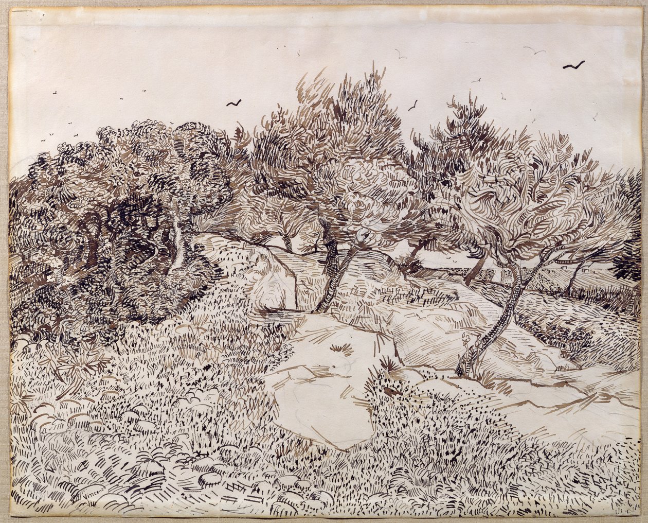 The Olive Trees by Vincent van Gogh