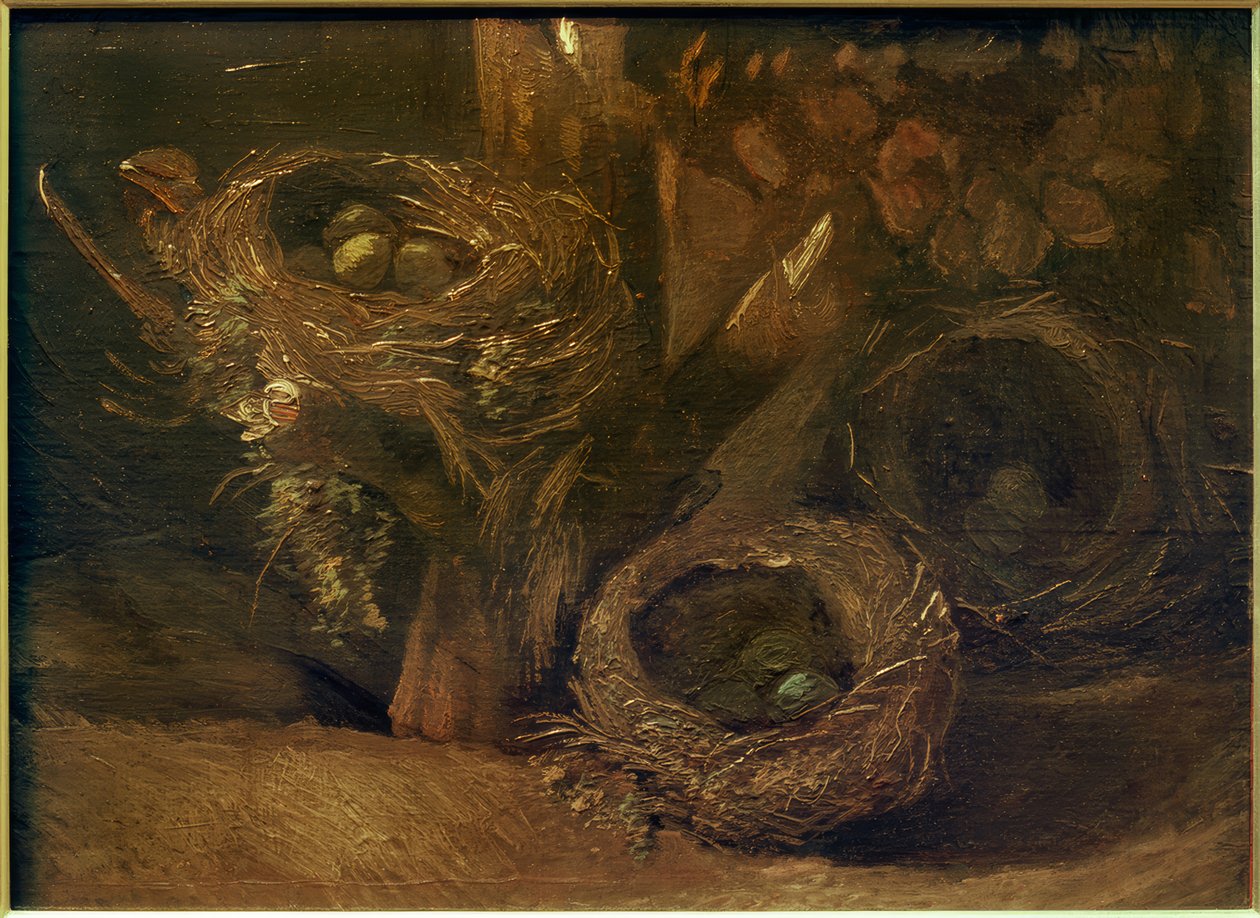 Bird Nests by Vincent van Gogh