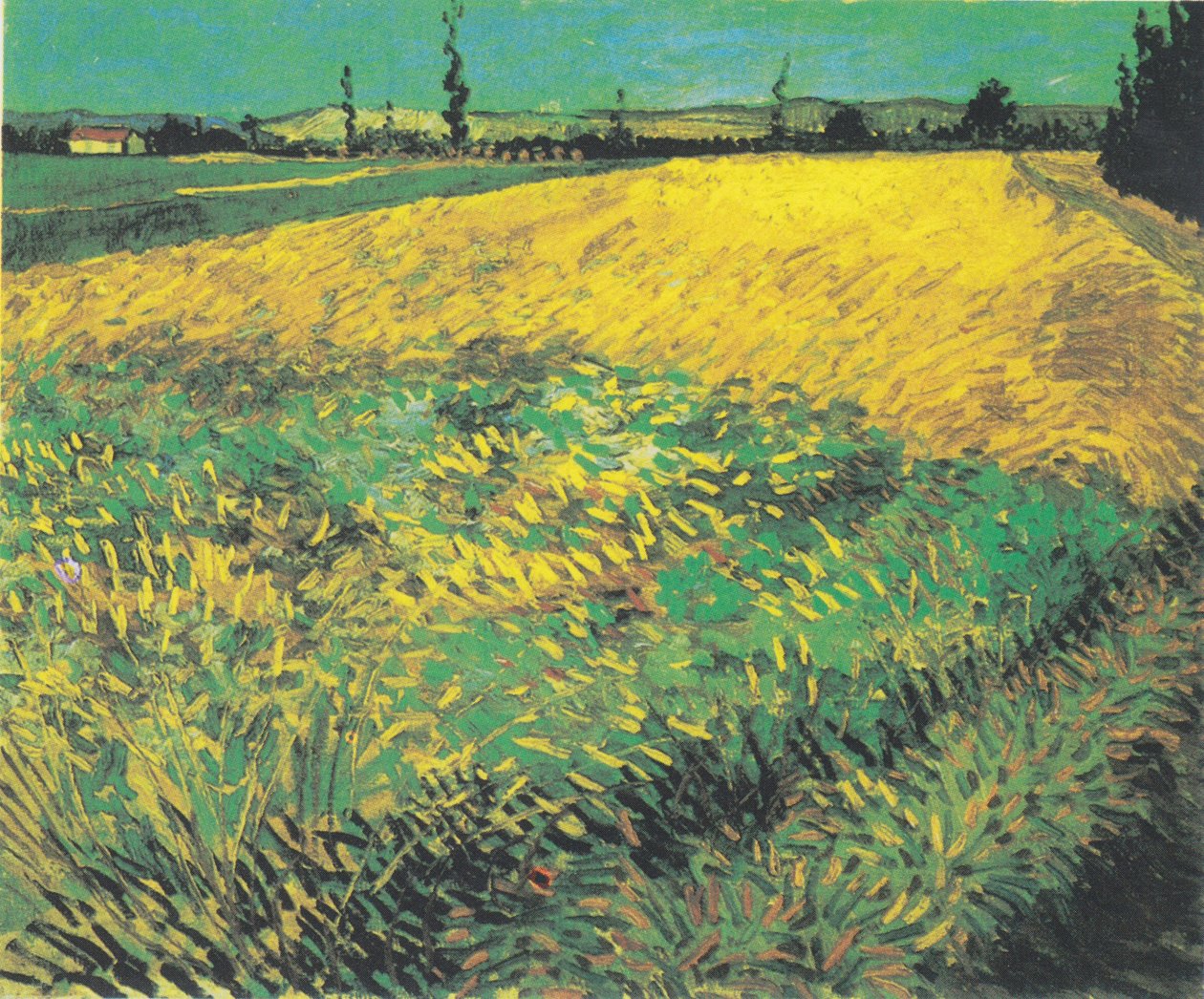 Wheat Field with Hills of the Alpilles in the Background by Vincent van Gogh