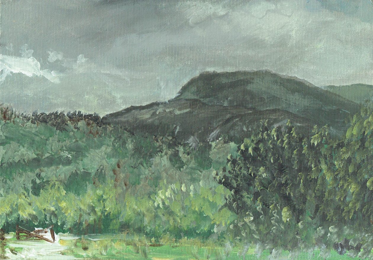 Hills at Creag Dhugh by Vincent Alexander Booth