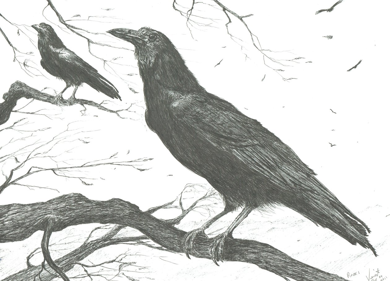Observers by Vincent Alexander Booth