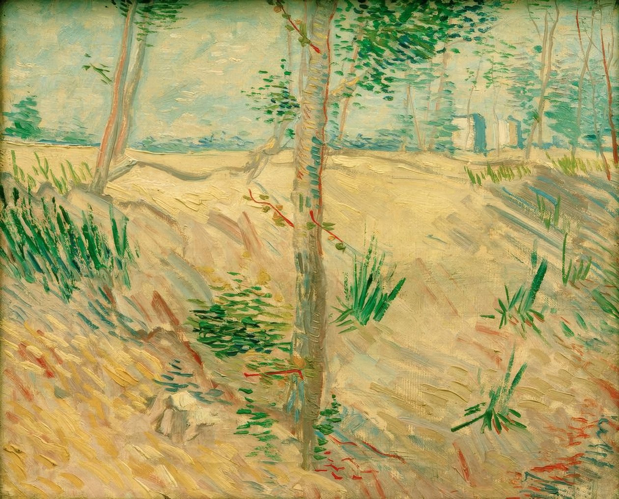 Tree Trunks in Sunlight by Vincent van Gogh