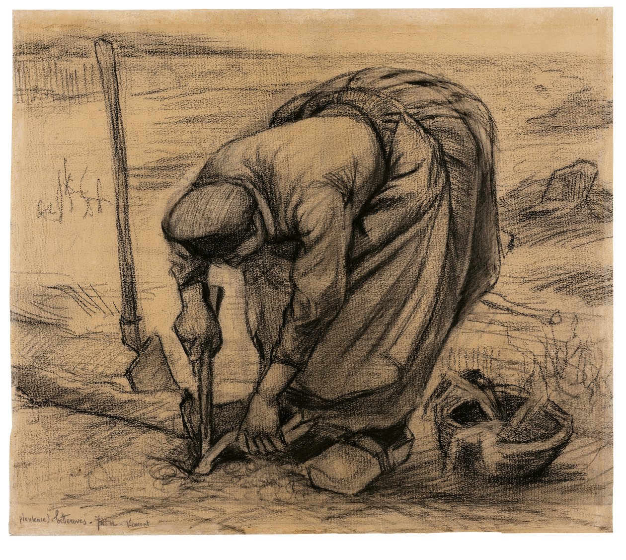 Beet Planter by Vincent van Gogh