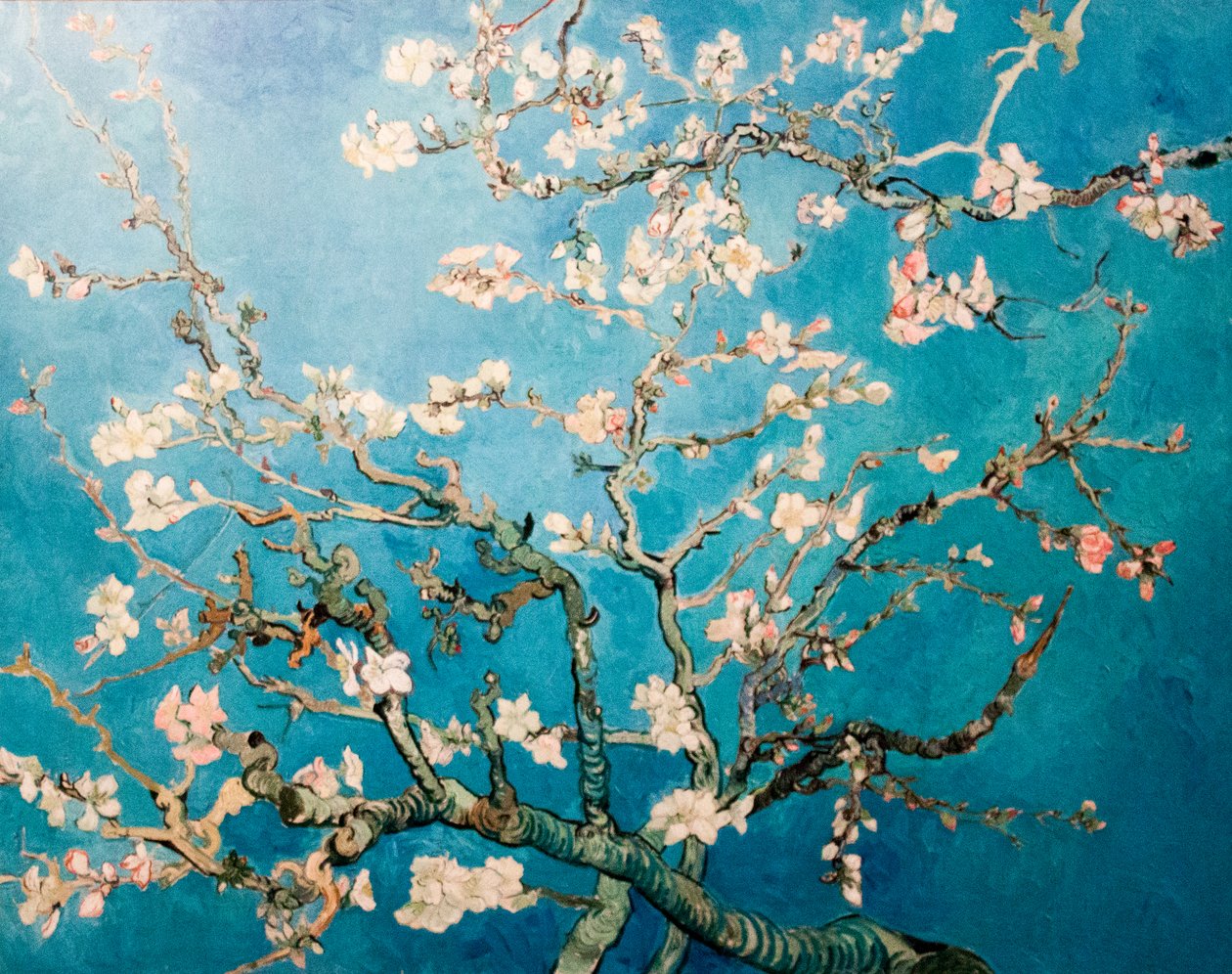 Blossoming Almond Branch Tree by Vincent van Gogh