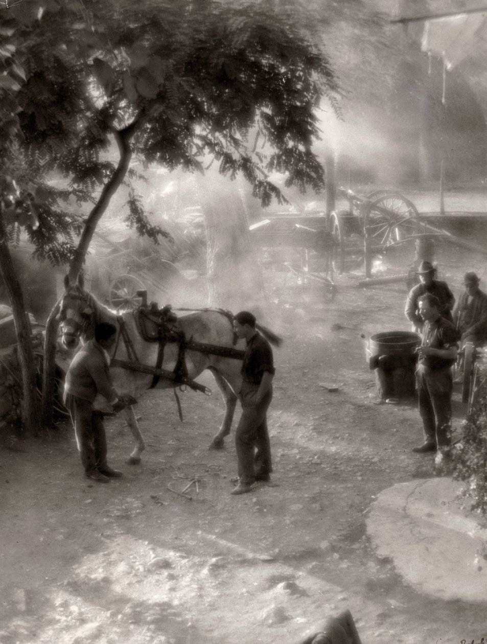 Shoeing the Horses, Italy by Vincenzo Balocchi