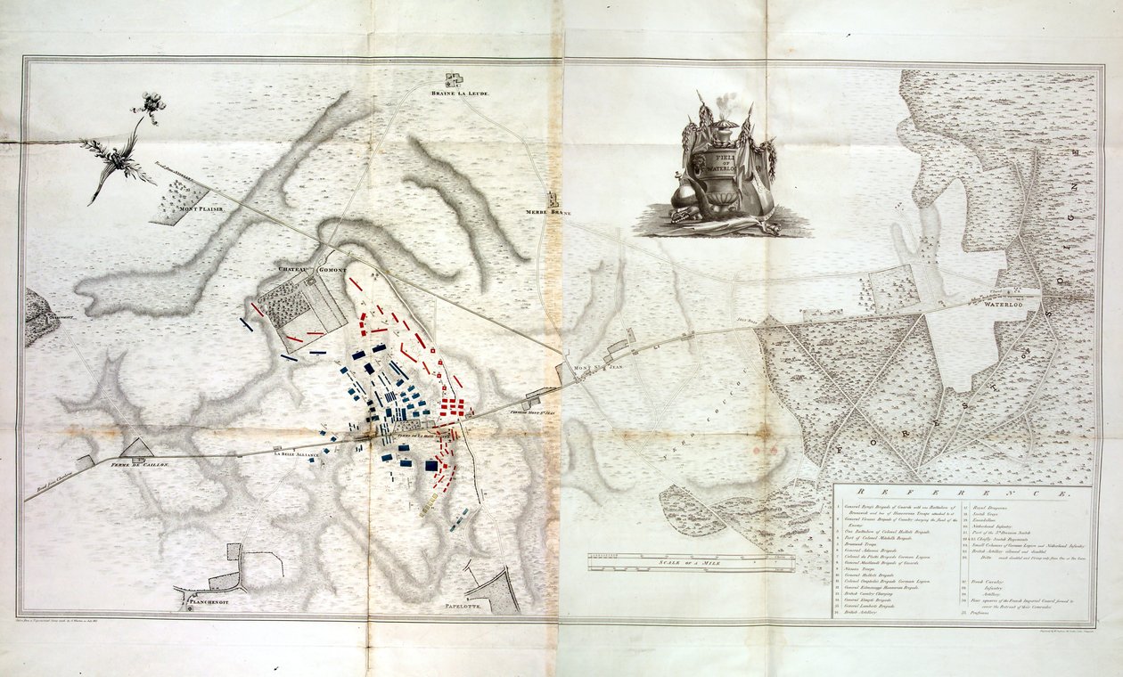 Field of Waterloo, c.1820 by W. Jackson