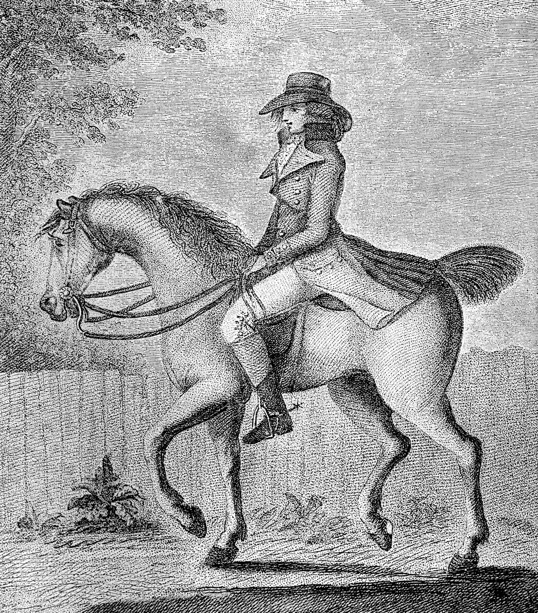 The Mistaken Notion by W. Dickinson