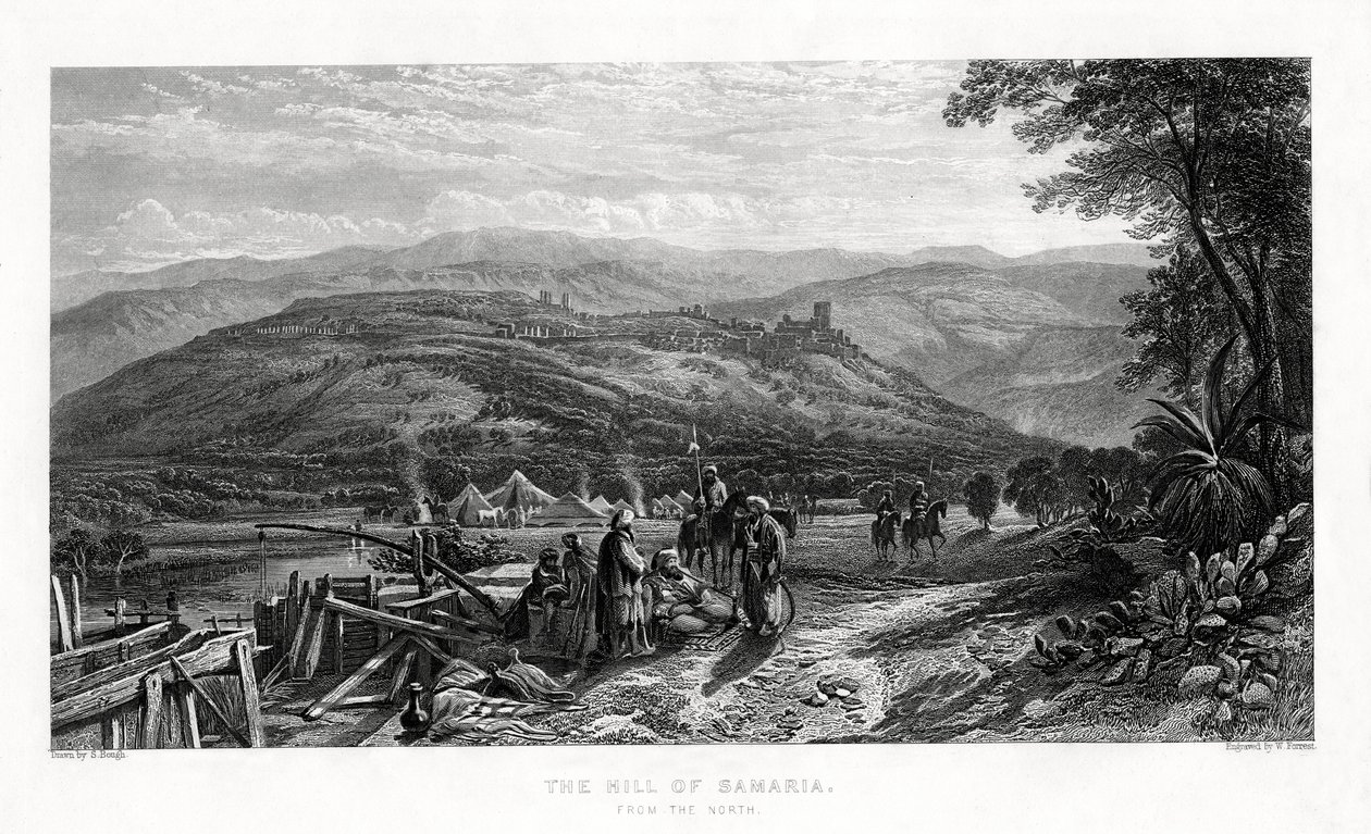 The Hill of Samaria by W. Forrest