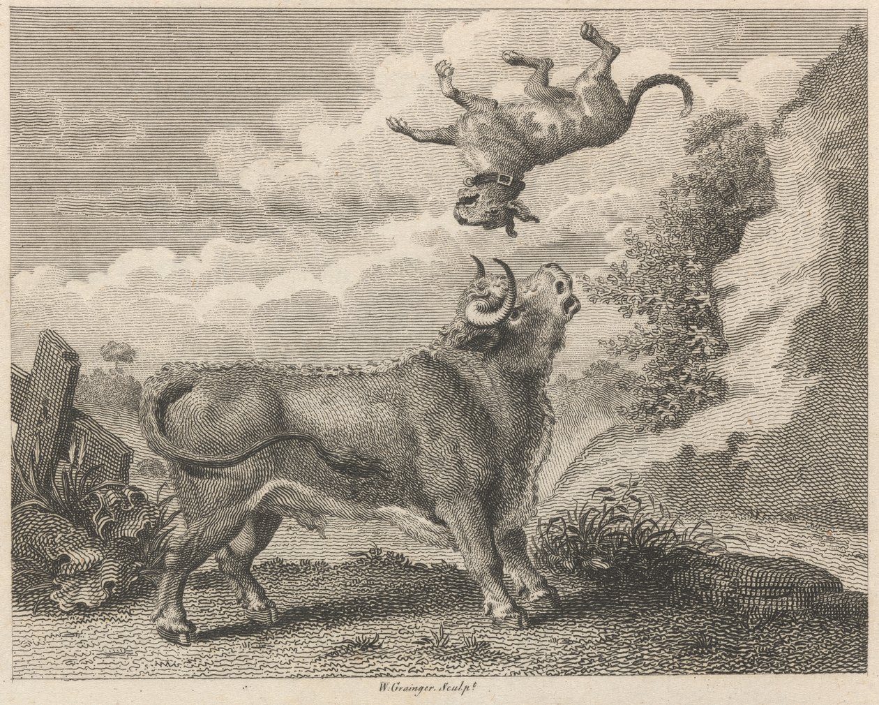 The Bull and the Mastiff by W. Grainger