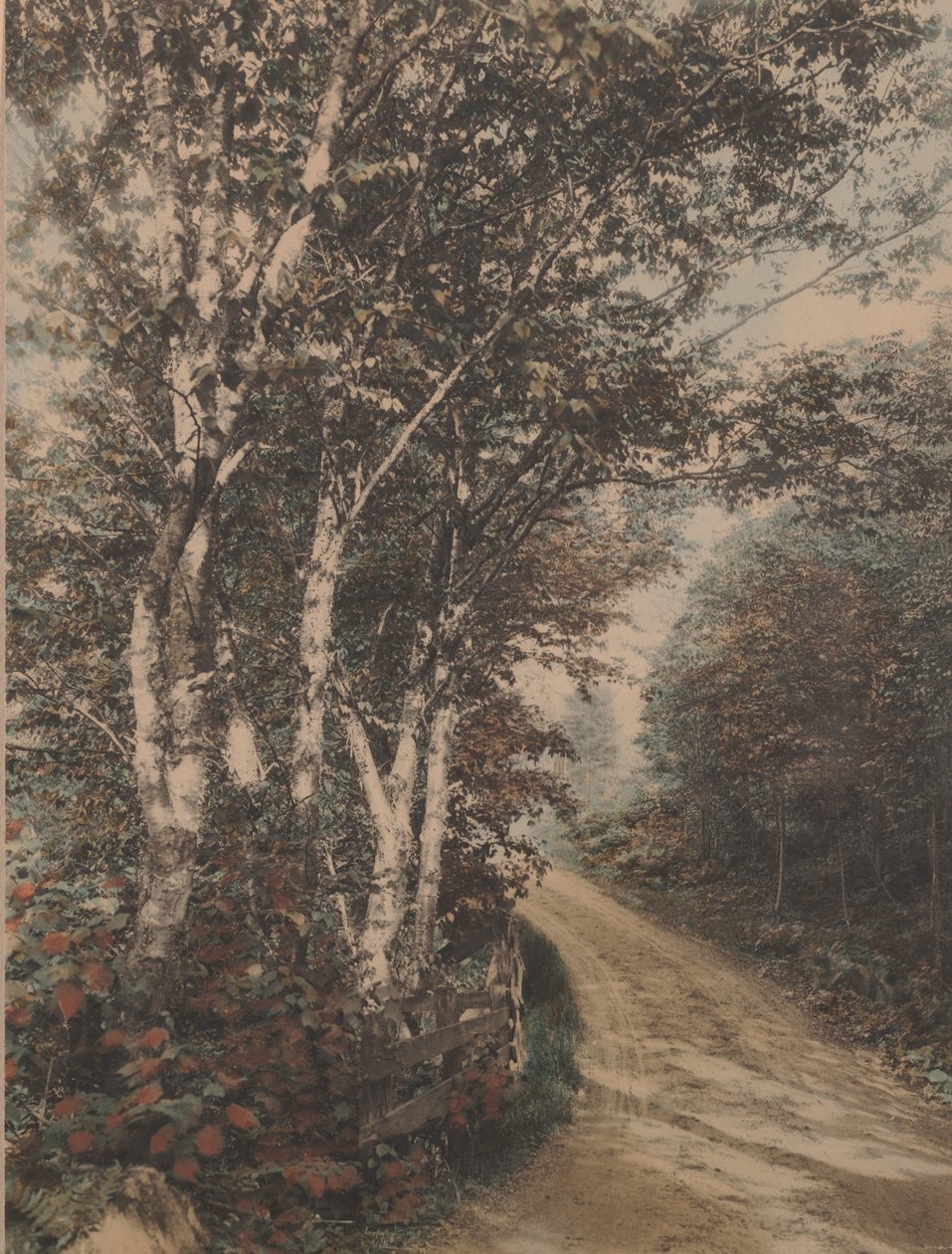 Westmore Drive by Wallace Nutting