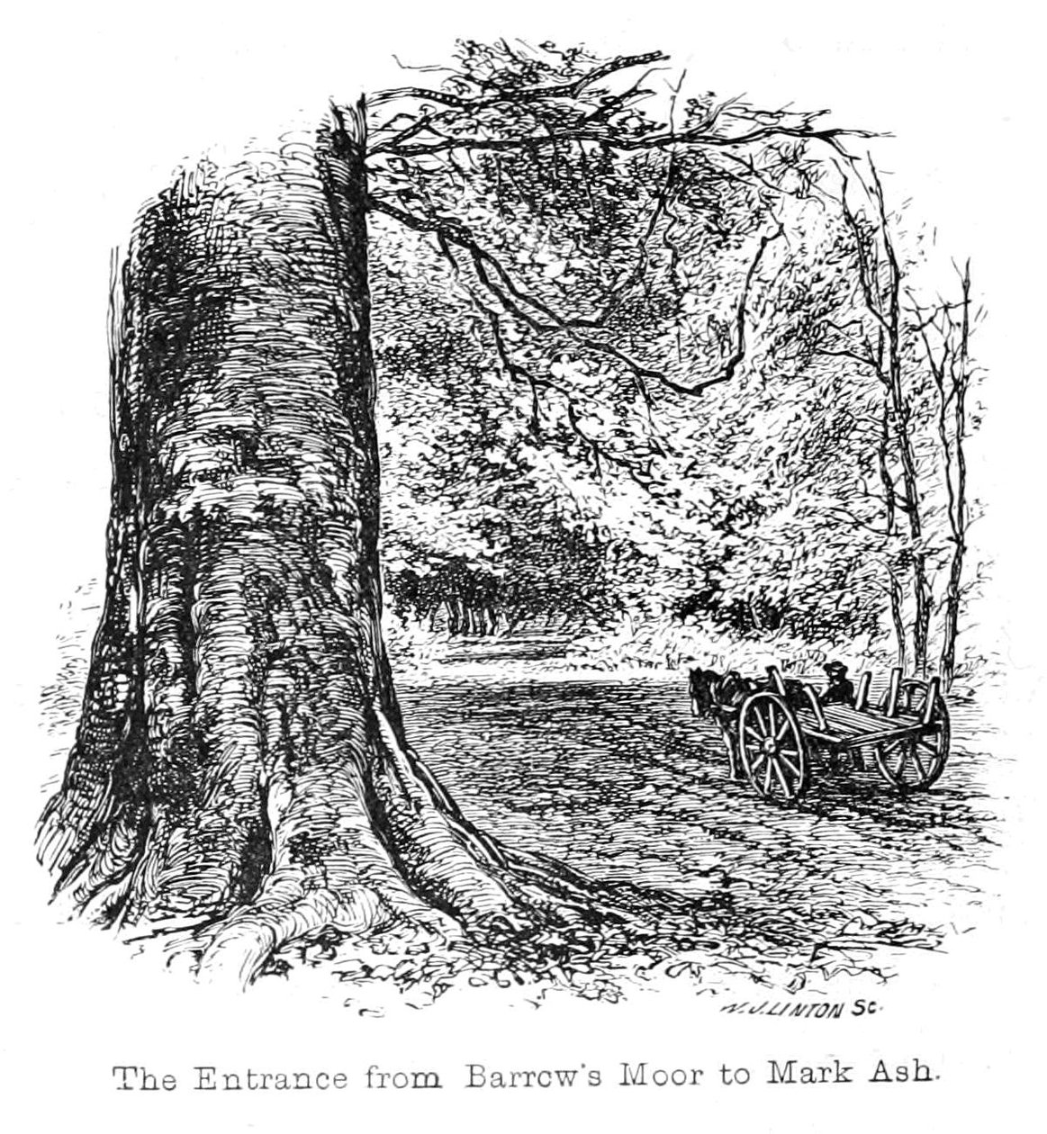 The Entrance from Barrows Moor to Mark Ash by Walter Crane