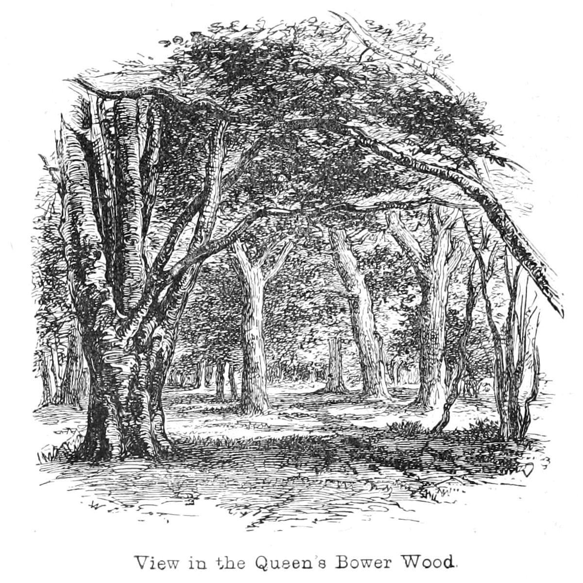 View in the Queen