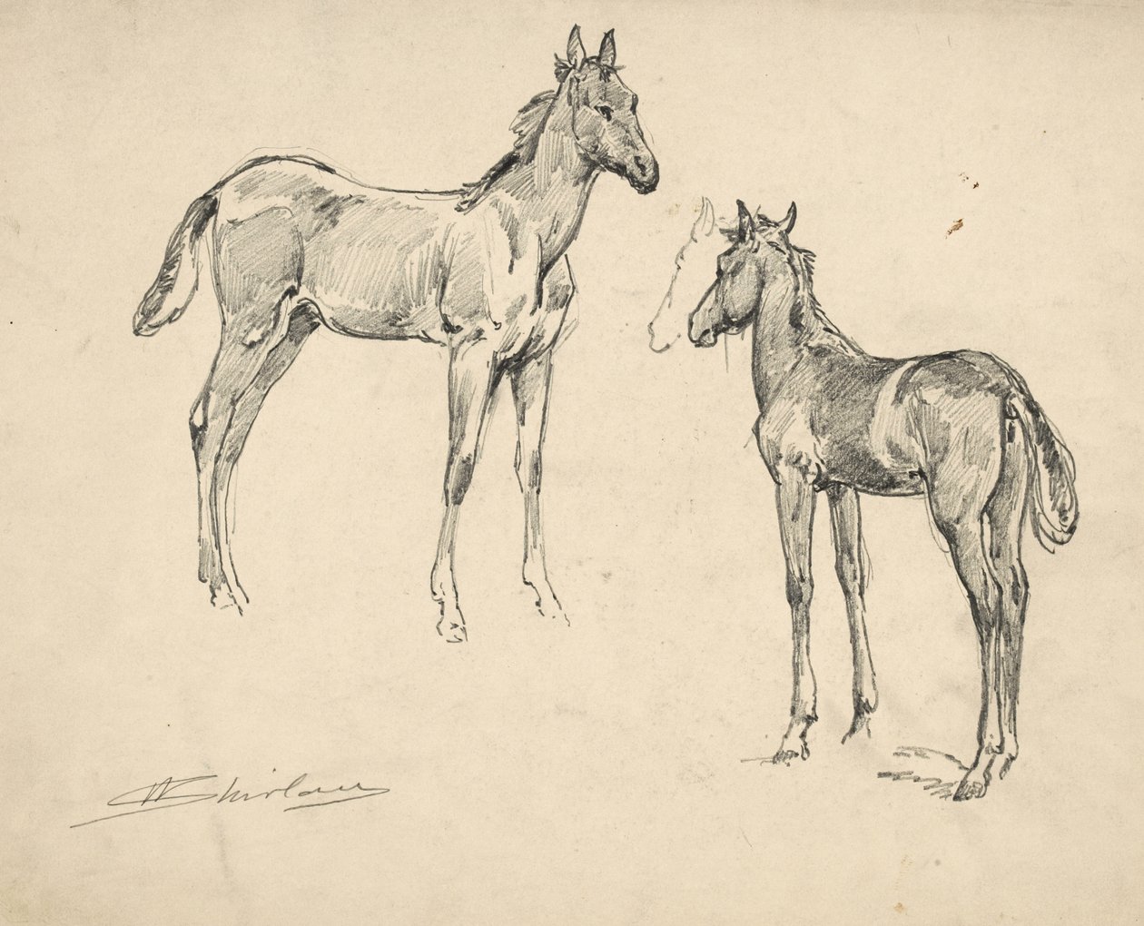 Study of Two Colts by Walter Shirlaw