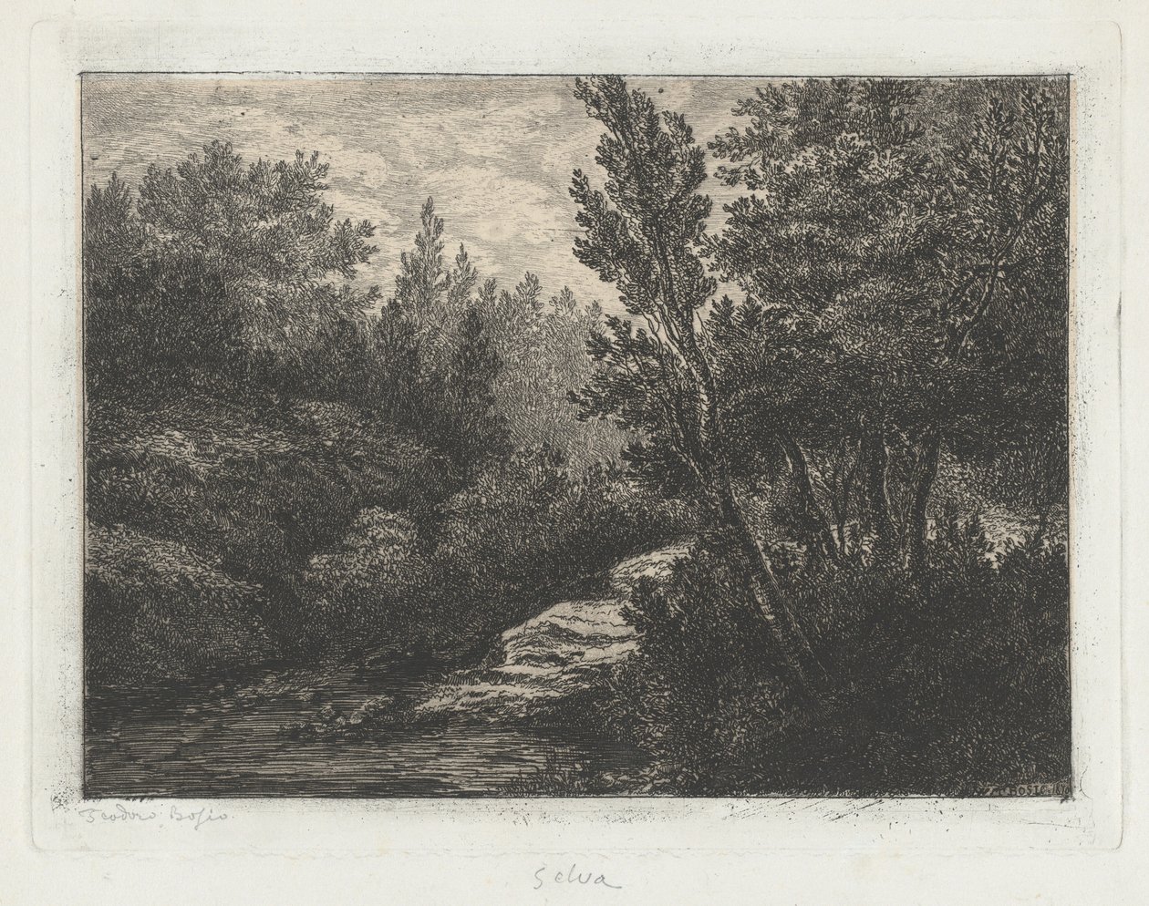 Woods by Walter Teodoro Bosio