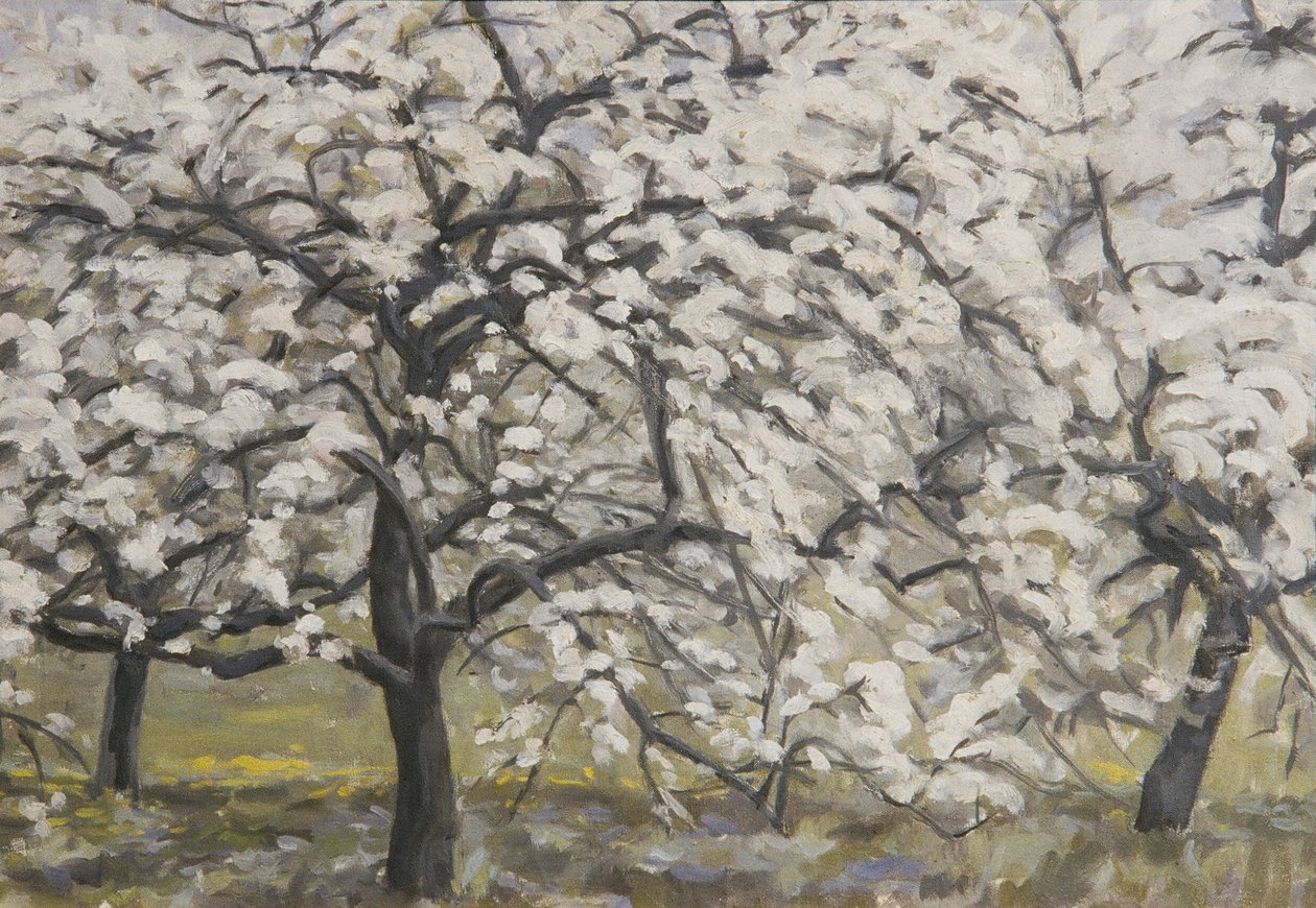 Blooming Fruit Trees by Walther Gamerith