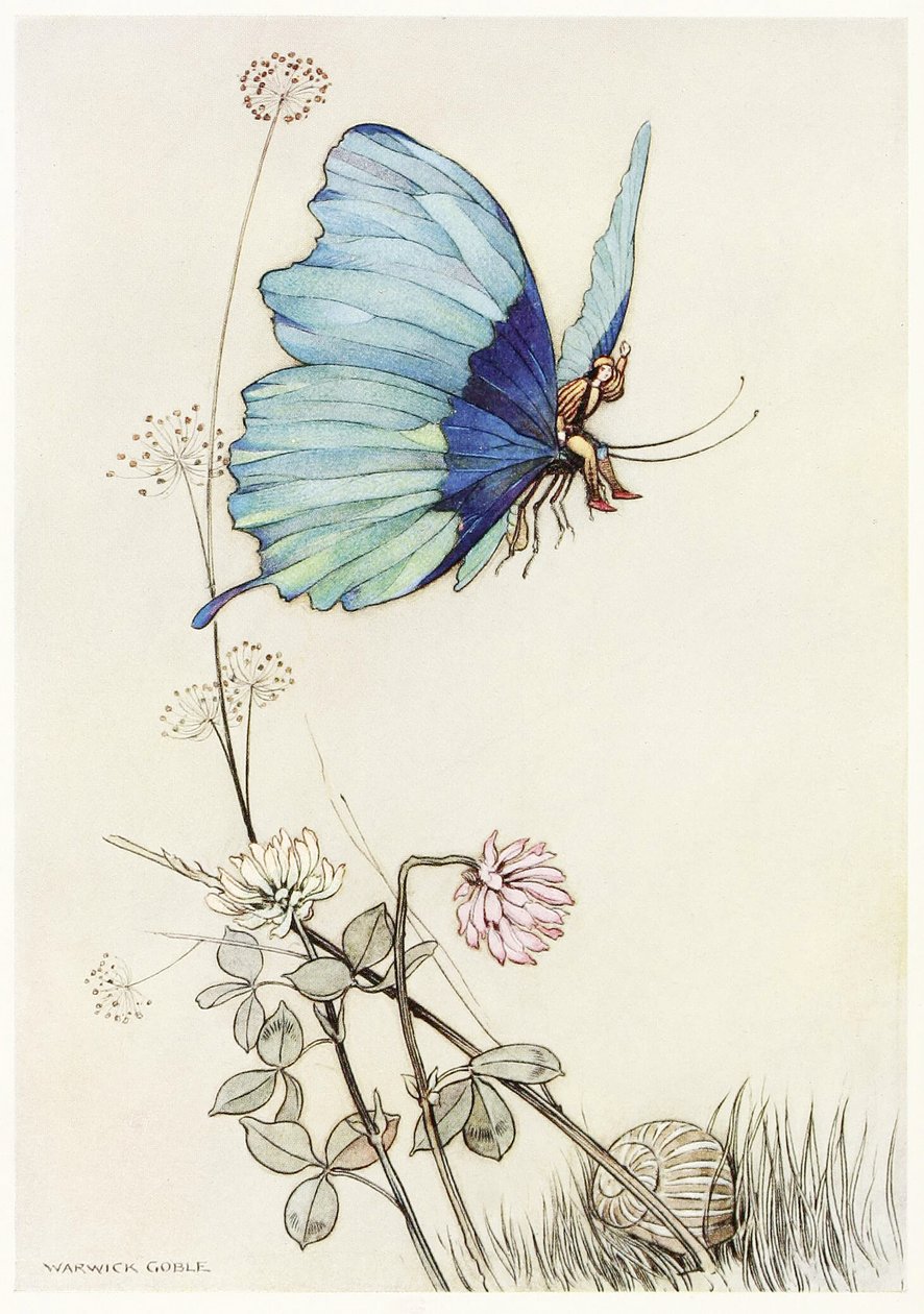 The Butterfly Took Wing, and Mounted Into the Air with little Tom on his Back, from The Fairy Book, pub. 1913 by Warwick Goble