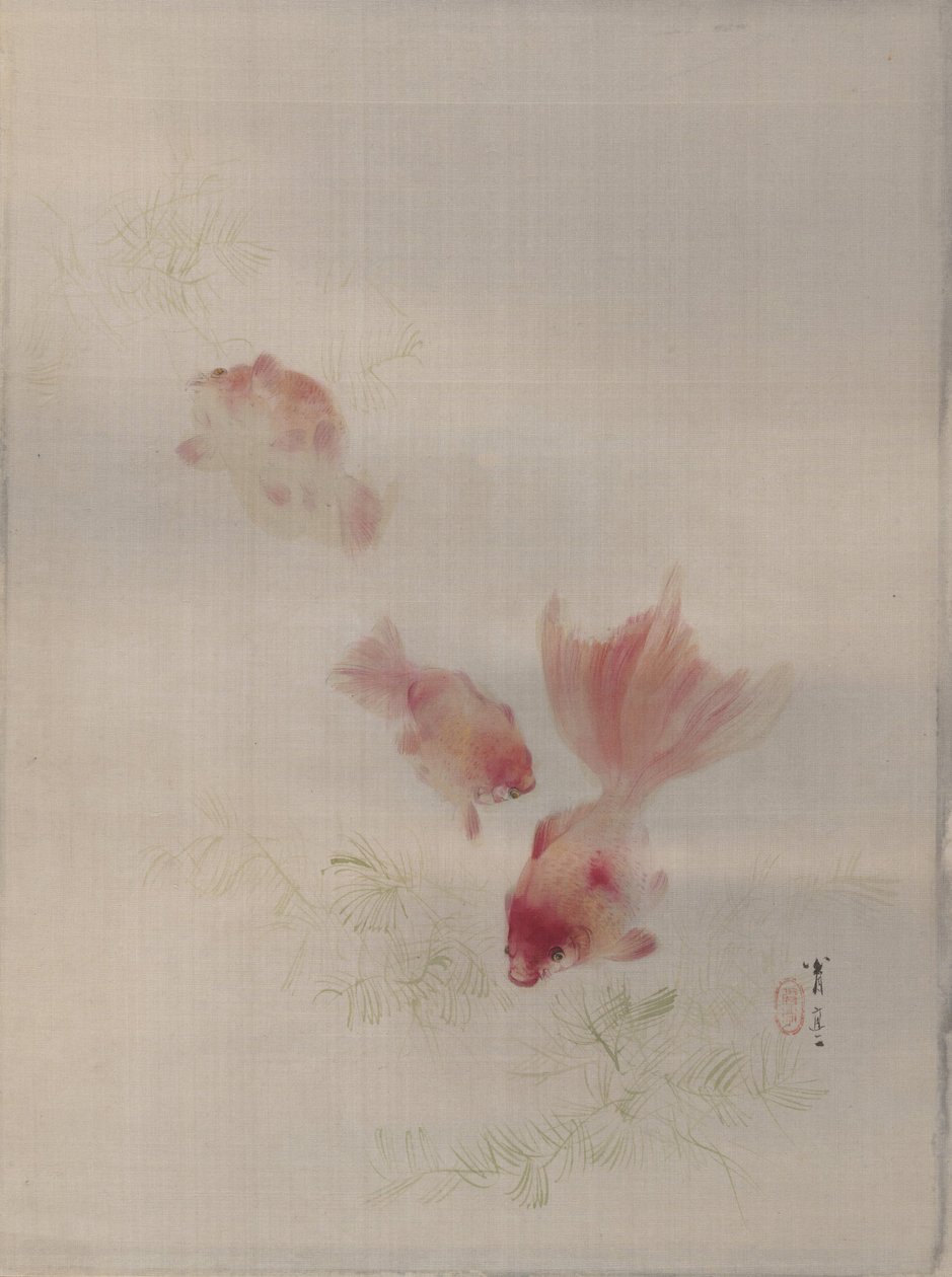 Goldfish by Watanabe Seitei