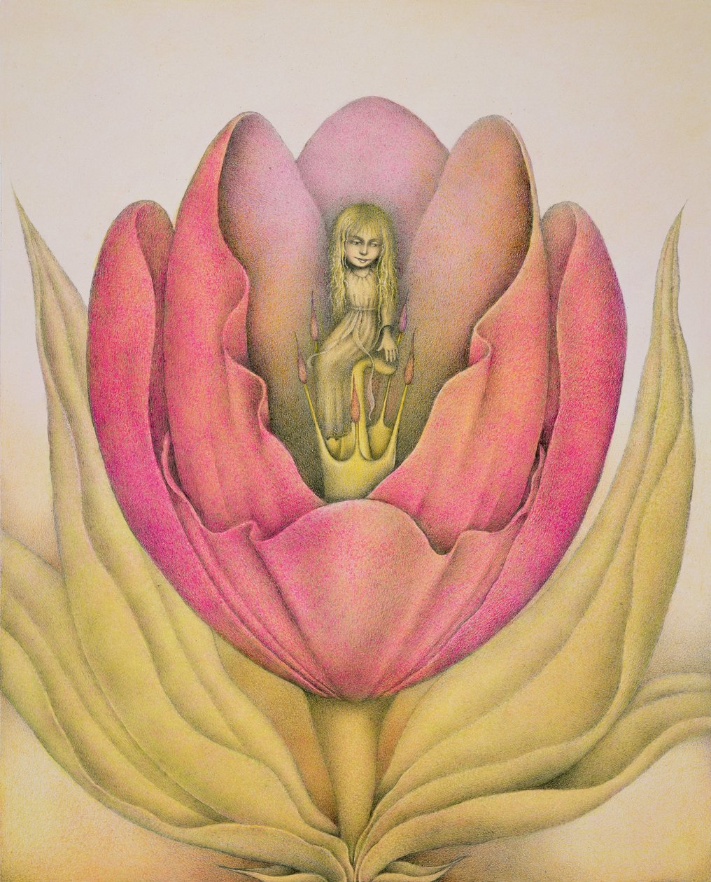The Tulip Burst Open With a Pop by Wayne Anderson