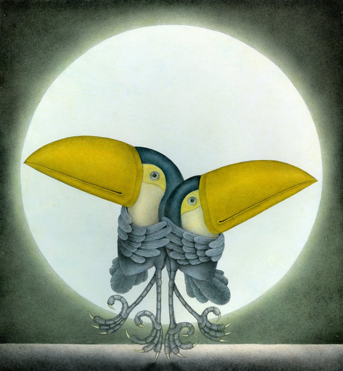 Toucan Can Can by Wayne Anderson
