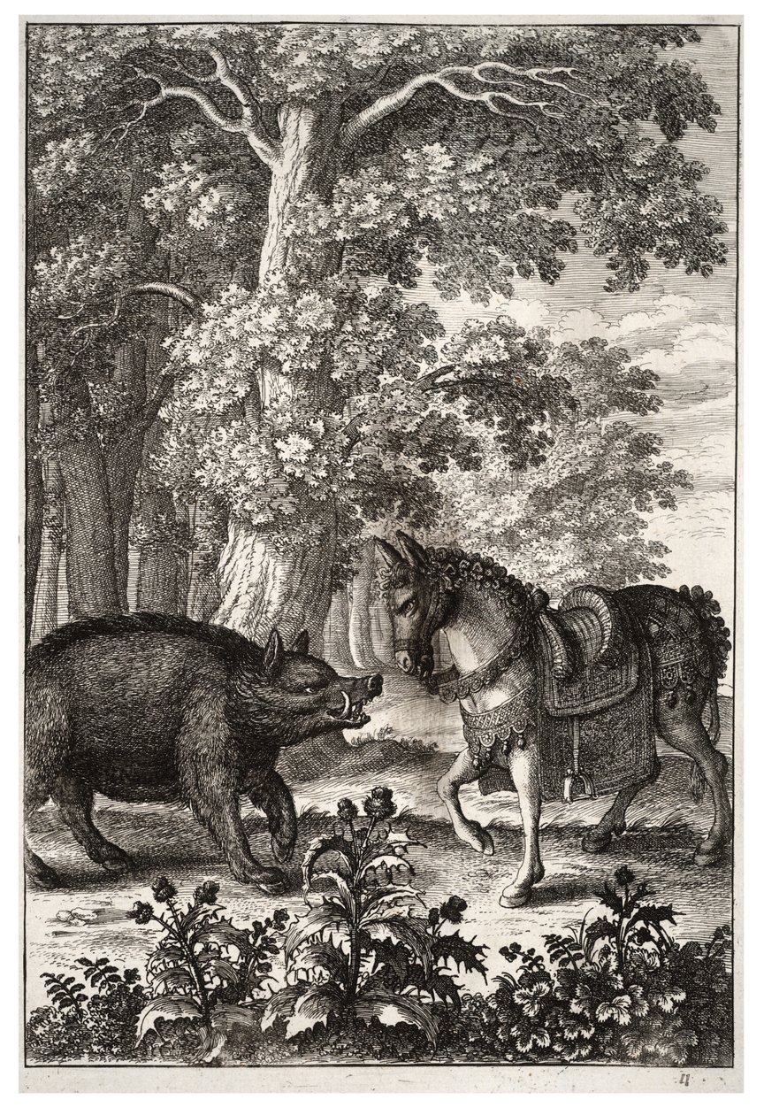 Boar and Ass by Wenceslaus Hollar