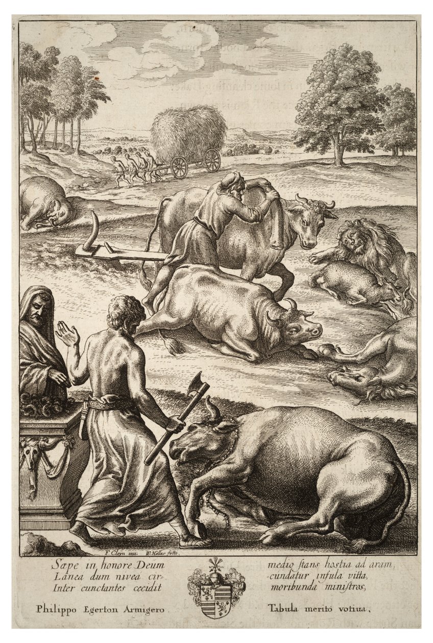 Cattle Plague. State 2 by Wenceslaus Hollar