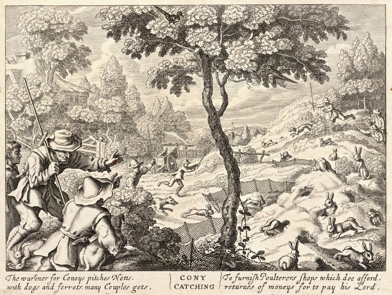 Coney Catching by Wenceslaus Hollar