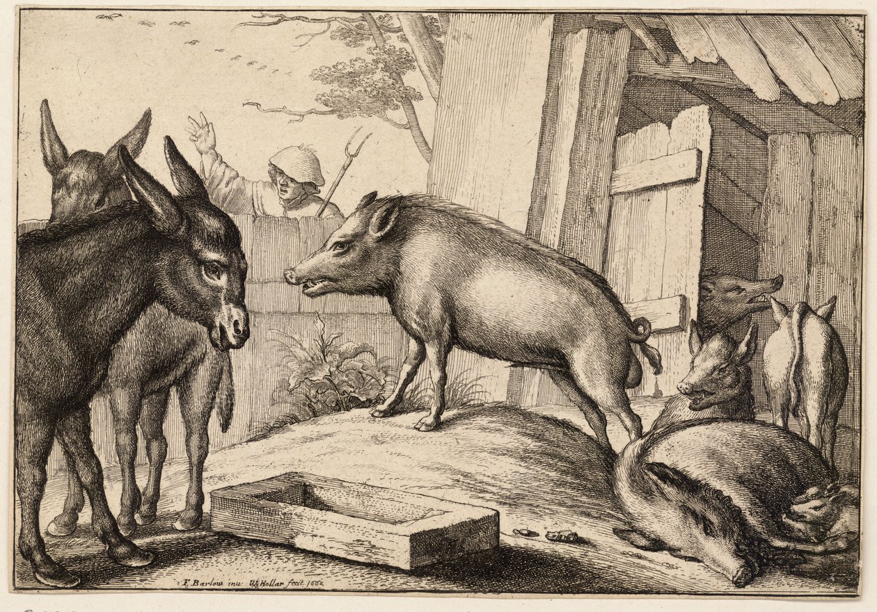 Pigs and Donkeys by Wenceslaus Hollar