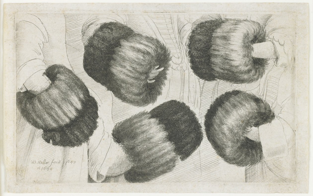 A Muff in Five Views, 1645-1646 by Wenceslaus Hollar