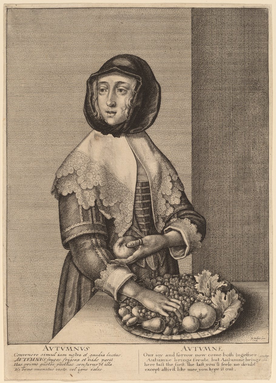 Autumn by Wenceslaus Hollar