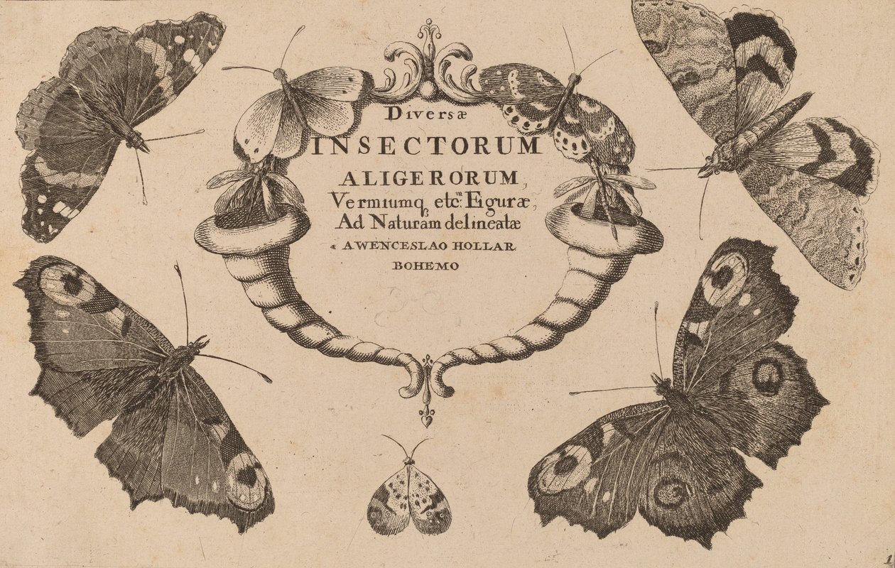 Title Page by Wenceslaus Hollar