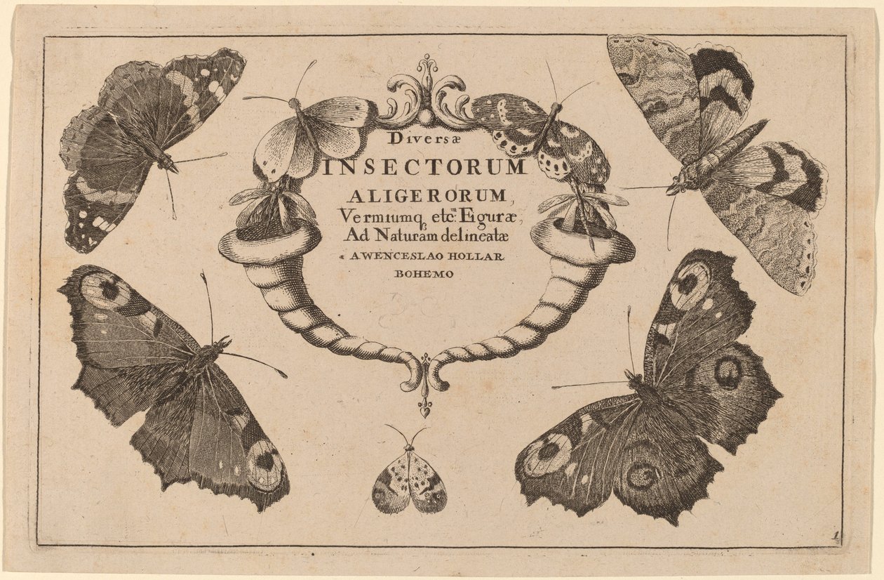 Title Page by Wenceslaus Hollar