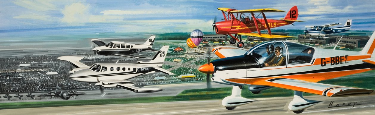 Aerial Display by Wilf (20th century) Hardy