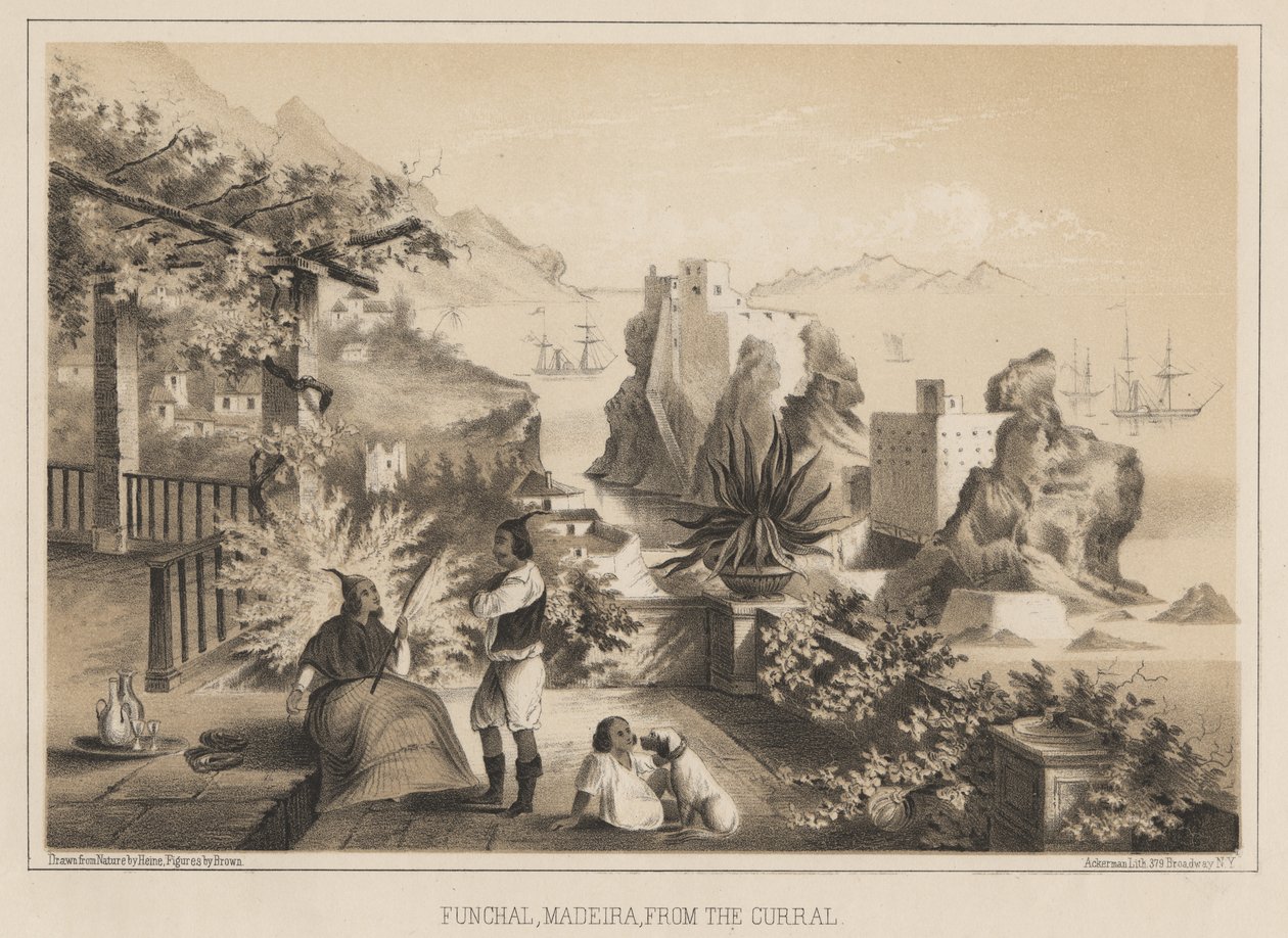 Funchal, Madeira, from the Curral by Wilhelm Joseph Heine