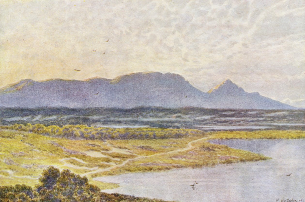 Table Mountain from Retreat Flats by Wilhelm Westhofen