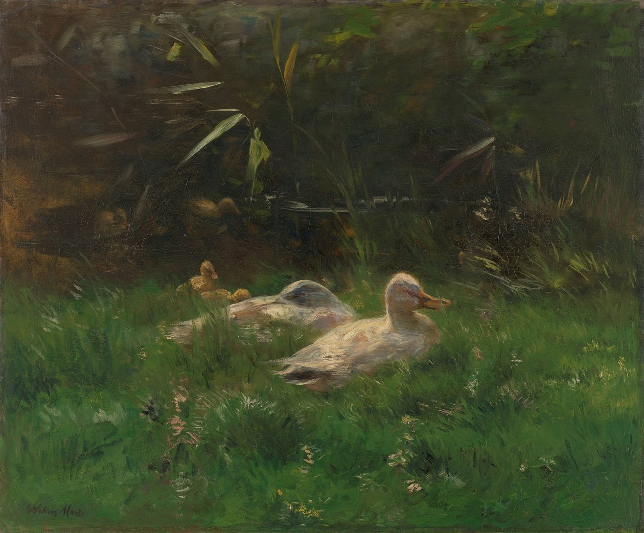 Ducks by Willem Maris