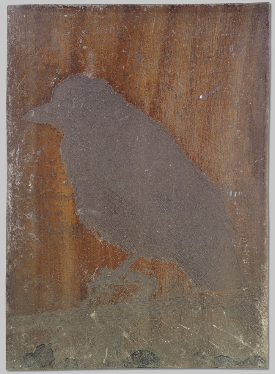 The Crow Ina by Willem Arnoldus Witsen