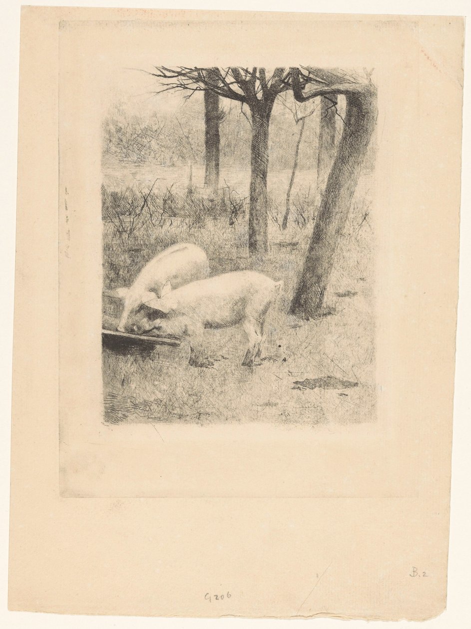 Two Pigs by a Trough by Willem Arnoldus Witsen