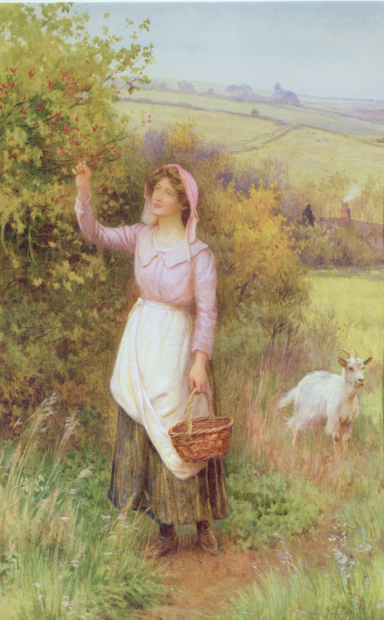 Picking Blossom by William Affleck