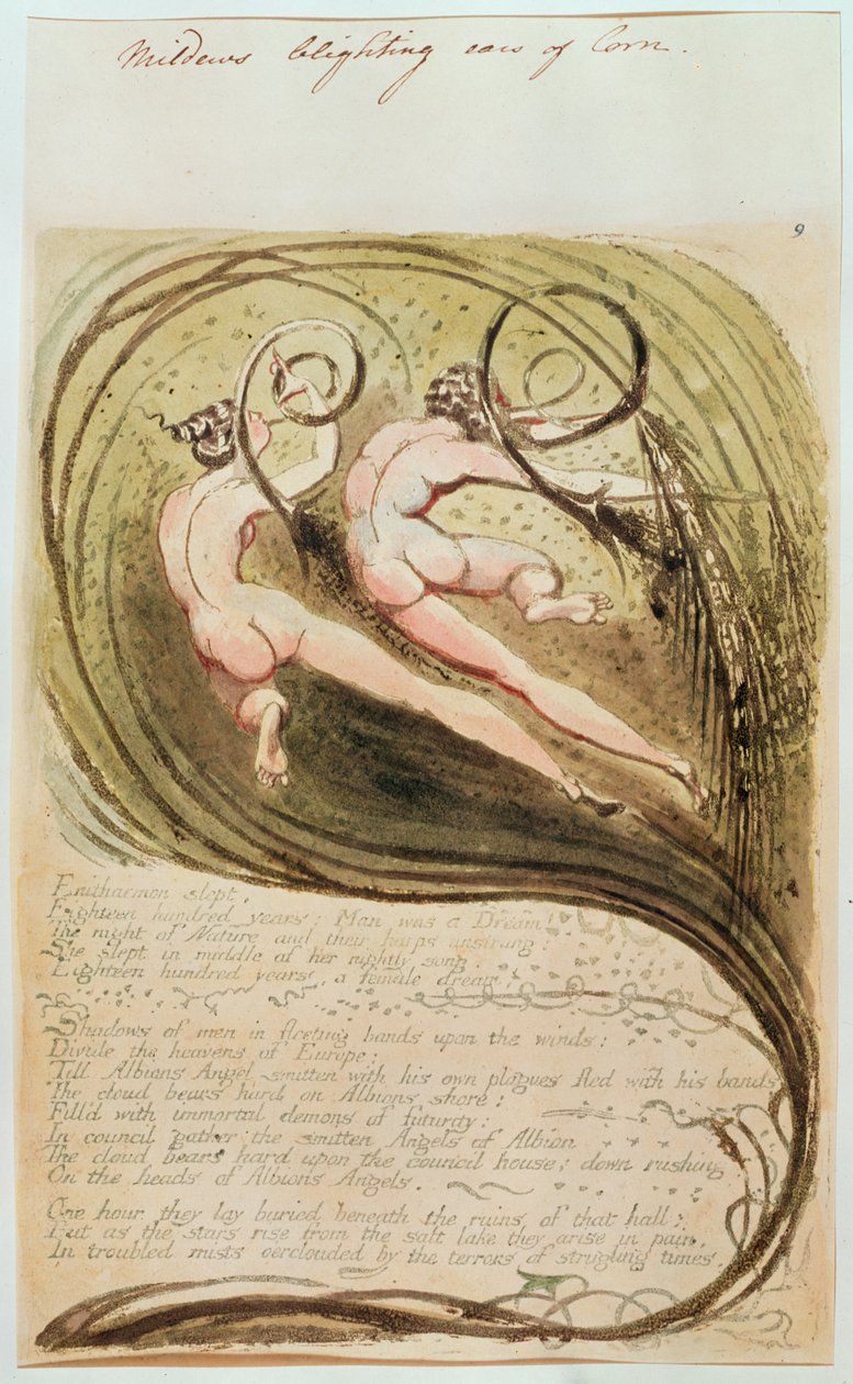Mildew Blighting Ears of Corn by William Blake